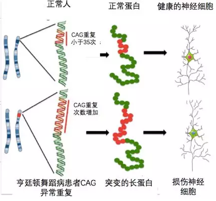 微信截图_20190524155755.png