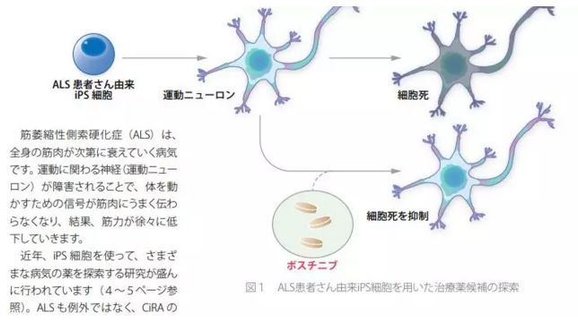 微信截图_20190726050112.png